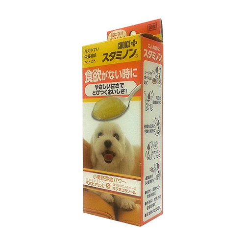 1+1 초이스스테미논플러스 강아지 영양제 - 도기케어(유통기한 21년 8월이내)
